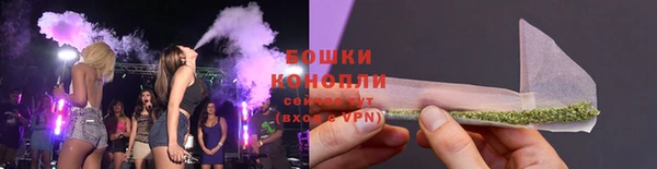 стафф Бронницы