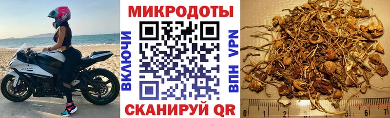 Галлюциногенные грибы ЛСД  ссылка на мегу ONION  Рубцовск 