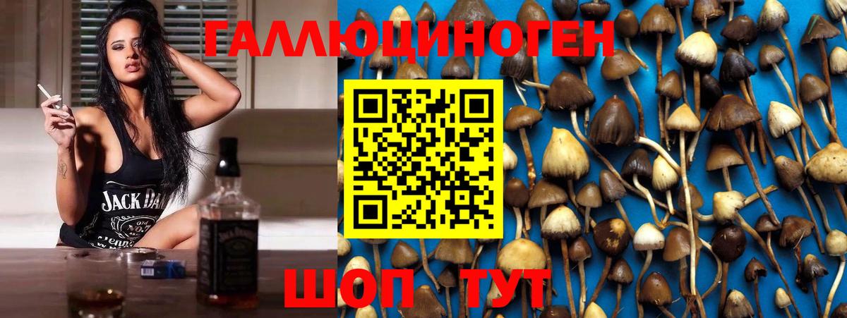 Галлюциногенные грибы Magic Shrooms Рубцовск